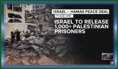 1011252.09.43 AM.jpeg